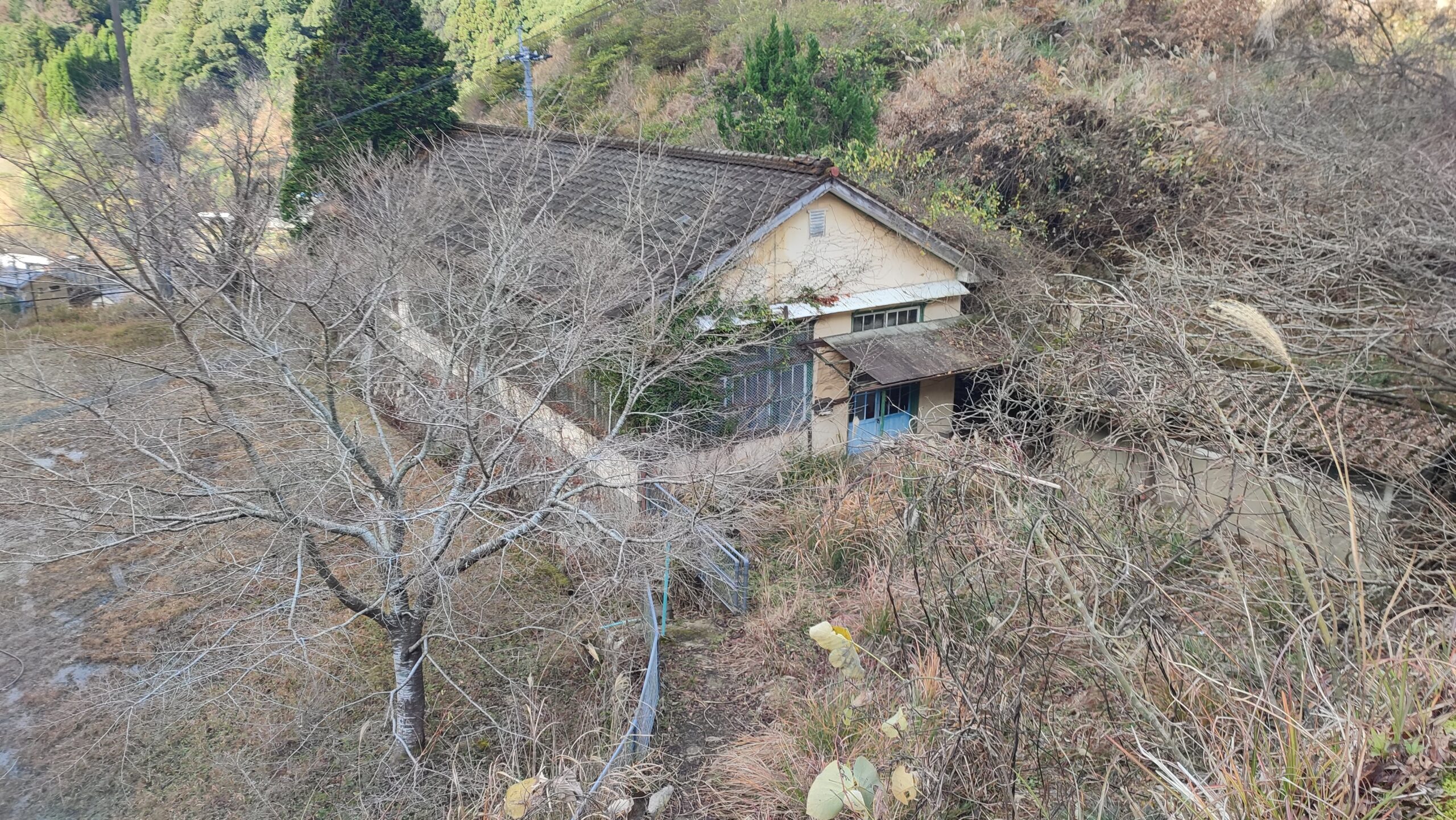 高沢小学校旧校舎