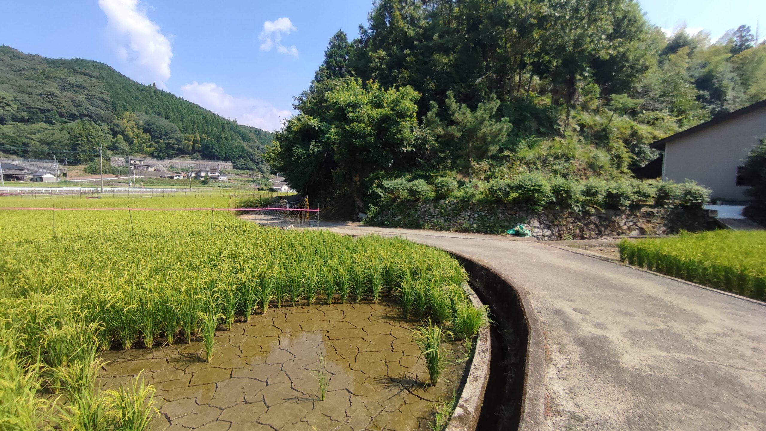 横居木（よこいぎ）分校があった場所