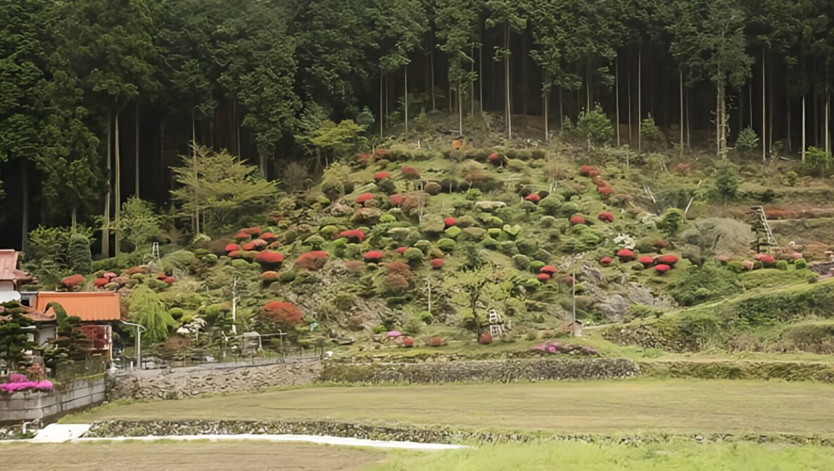 大尼田（おおにた）の地区の地理