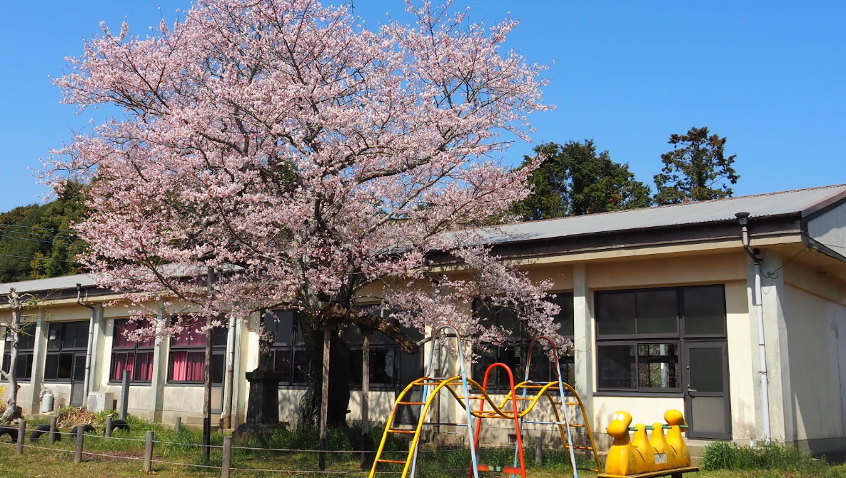 唐津市の枝去木にある有名なもの