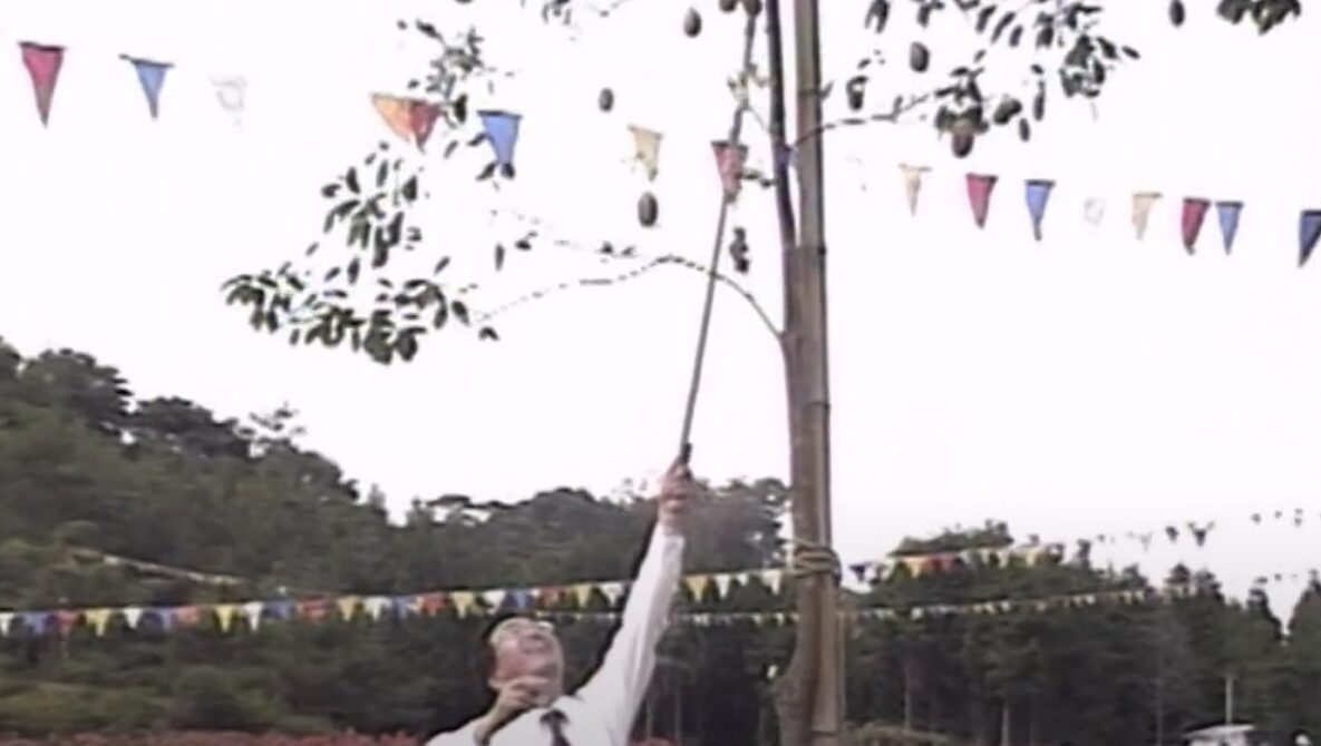 山野西小の秋の運動会