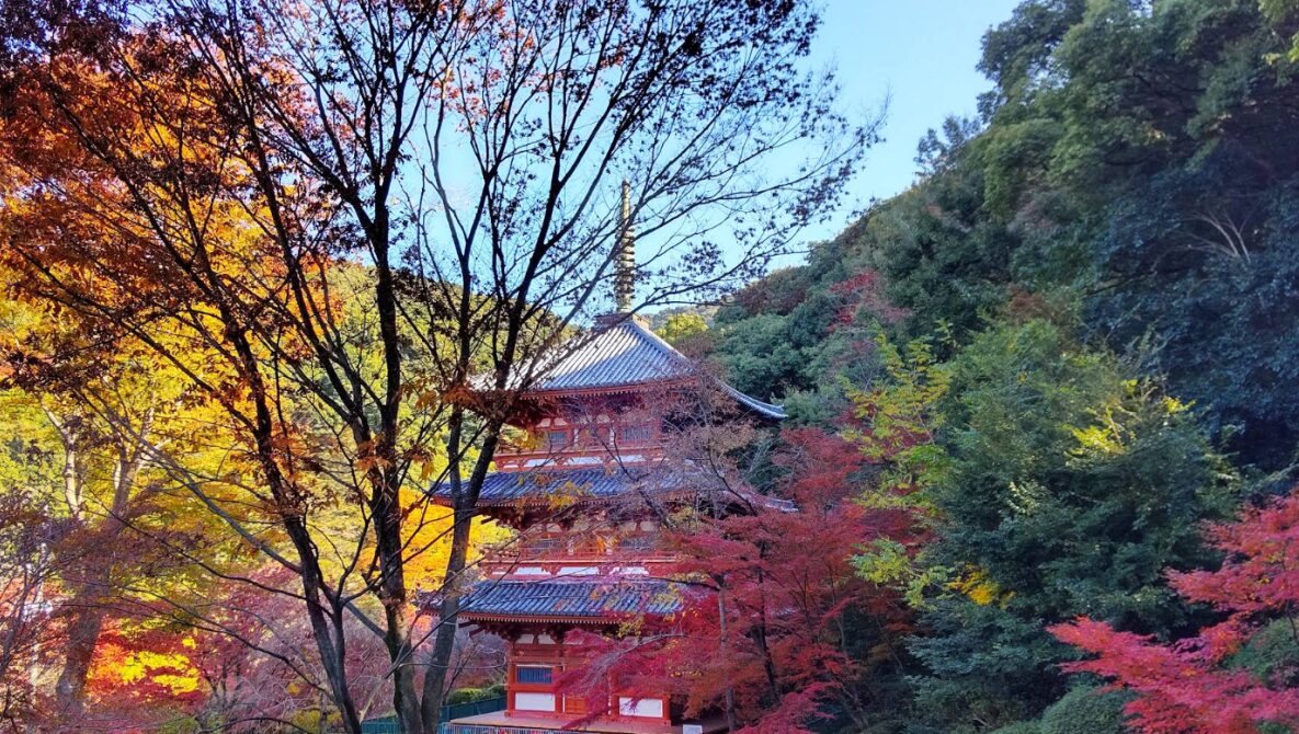東山中校区の名所