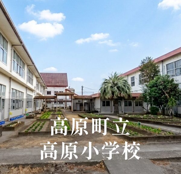 高原（たかはる）小学校 [令和8年閉校] 高原町立