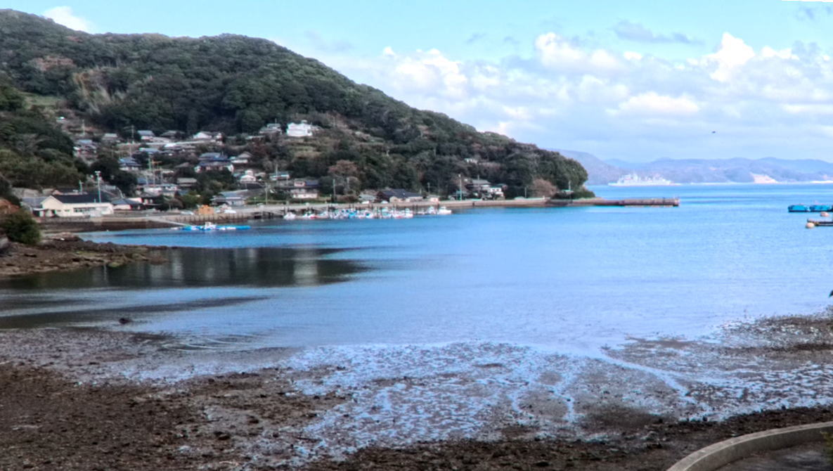 庵浦小校区の歴史